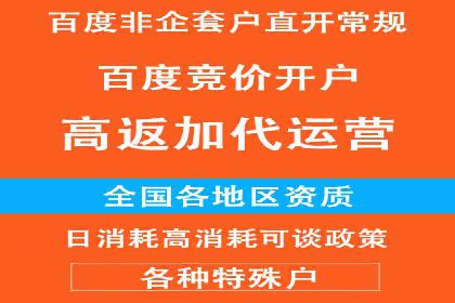 百度竞价个人开户的技巧与误区：从案例中学习